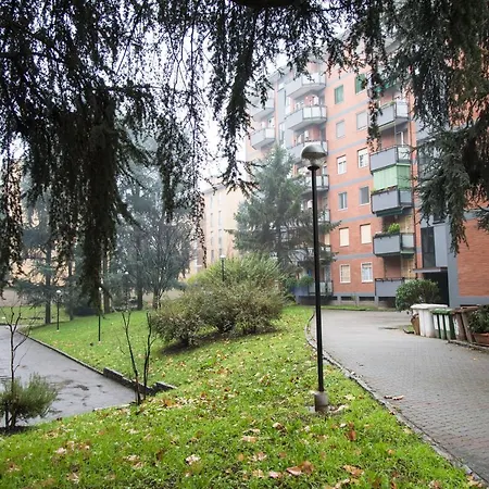Youhosty - Cardellino 55 *